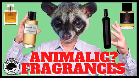 what is an animalic scent